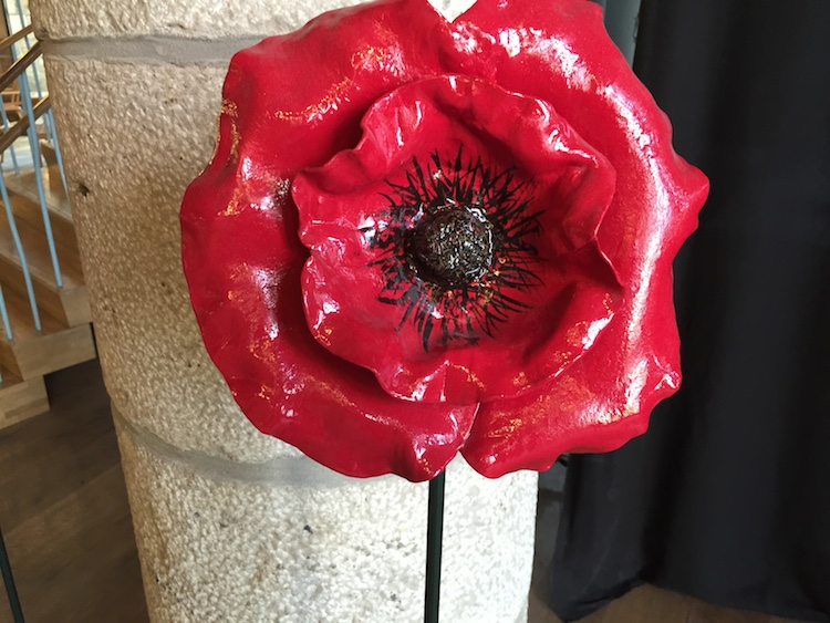Poppy In Flanders Field Museum Belgium