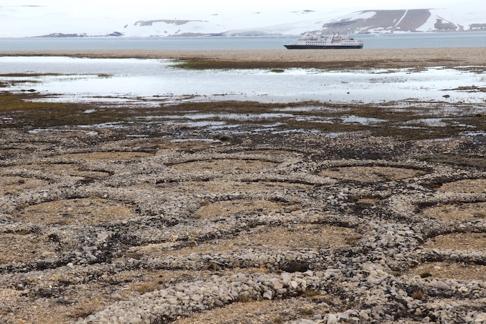 Stone Circles Arctic Desert Svalbard