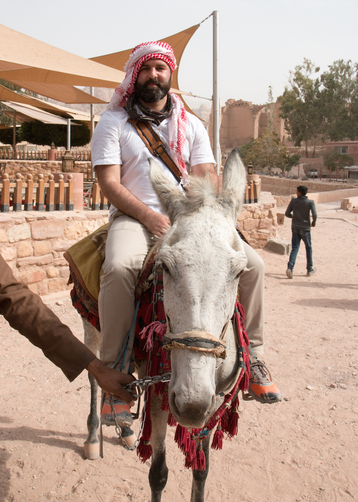 Donkey at Petra Jordan