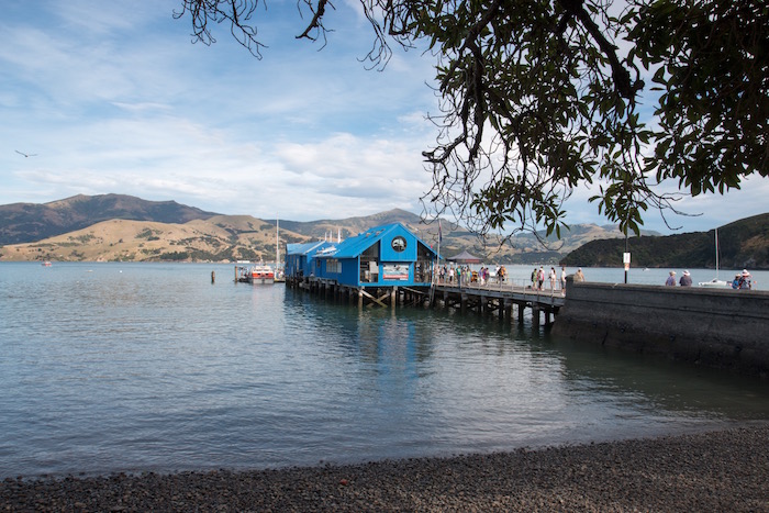 Akaroa New Zealand