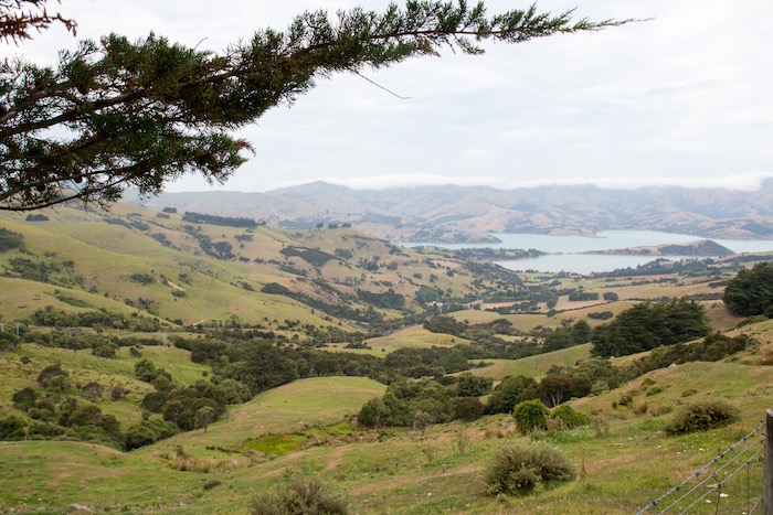 Akaroa New Zealand