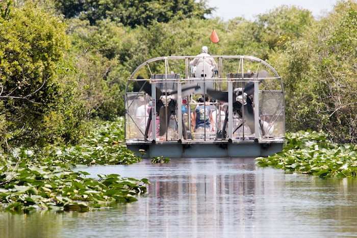 Air Boat Ride in the Everglades. Excursions included in my Escorted Tour of Florida