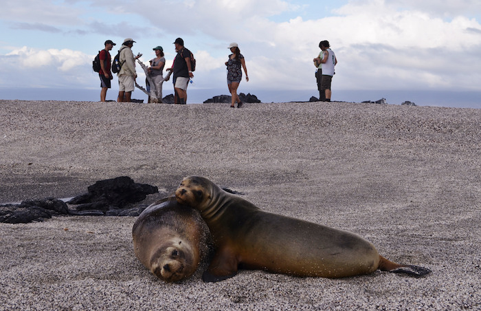 Galapagos