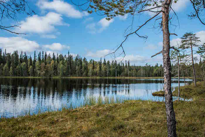 Oulanka National Park Ruka Kuusamo Finland