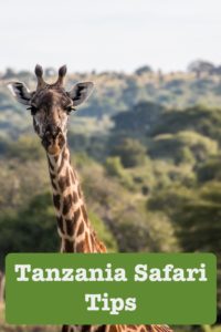 safari i tanzania tips