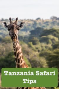 youtube tanzania safari