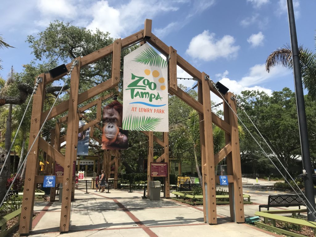 Zoo Tampa at Lowry park Tampa