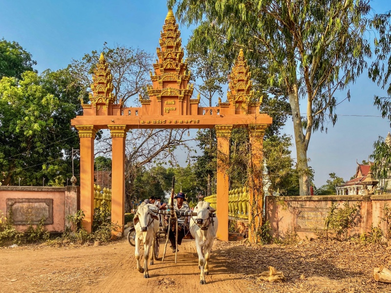 Cambodia Ox Cart