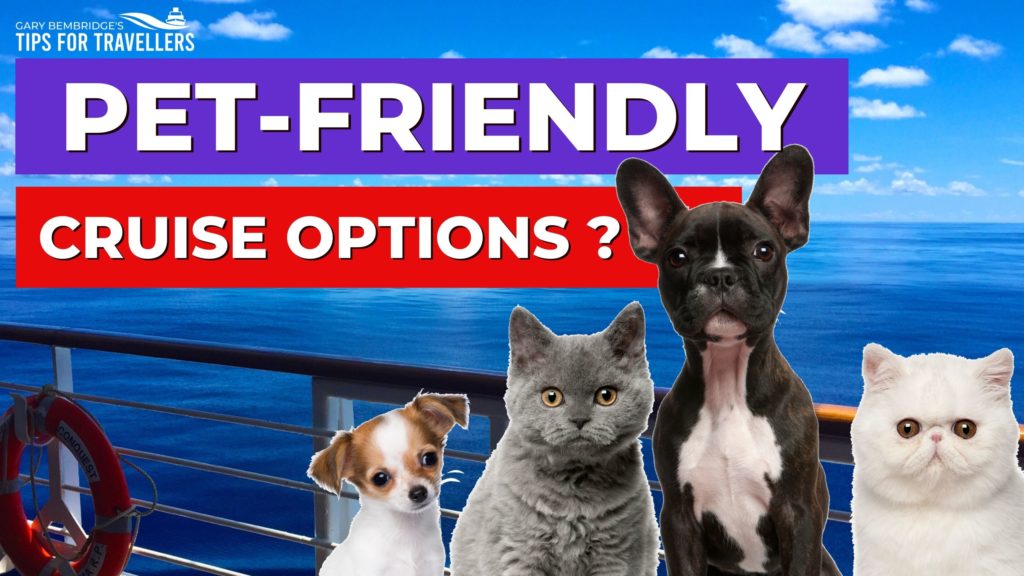 Pet friendly cruises. Six ways you can cruise with your pets!