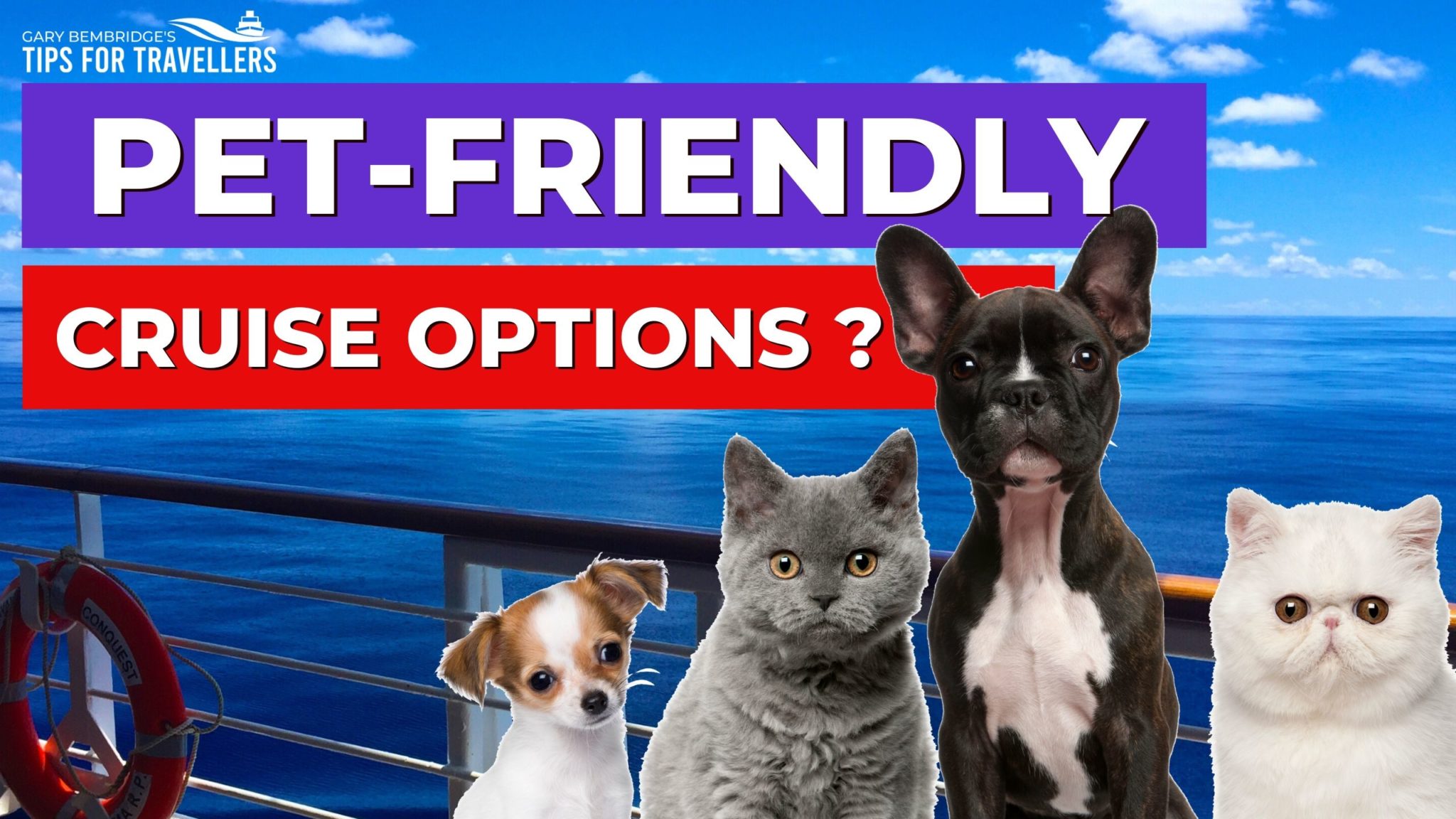 Pet friendly cruises Go cruising with your pet Tips for Travellers