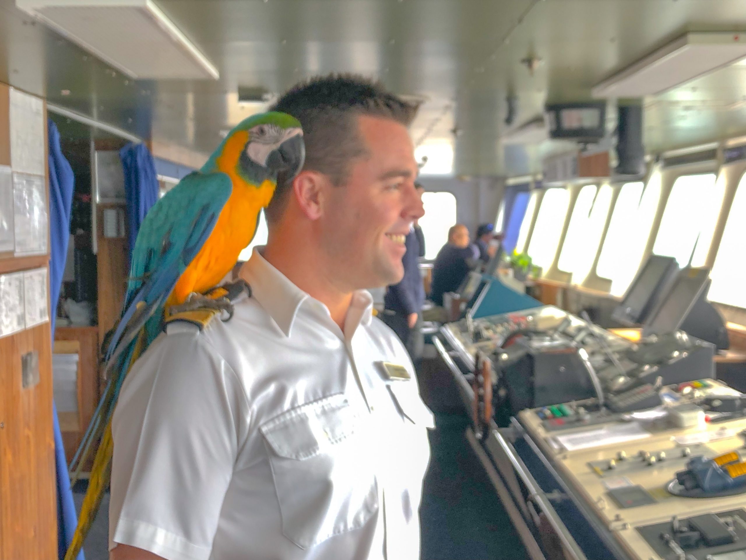 transatlantic boat travel with dog