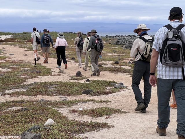 Galapagos Cruising