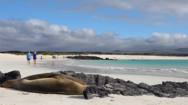 Galapagos Cruise Silversea