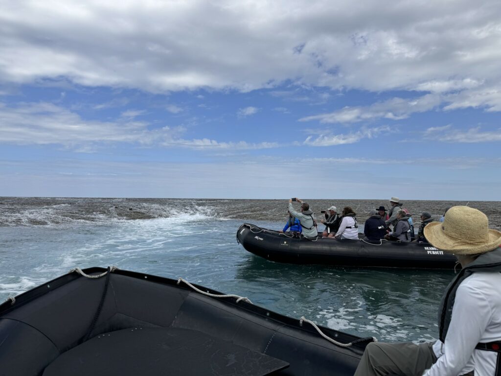 I Test Seabourn Expedition Cruising To See Why Cruisers Are So Unhappy