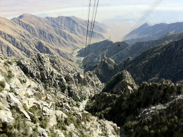 Palm Springs Aerial Tramway and Jacinto State Park: not to be missed!
