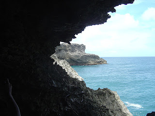 Animal Flower Caves Barbados 